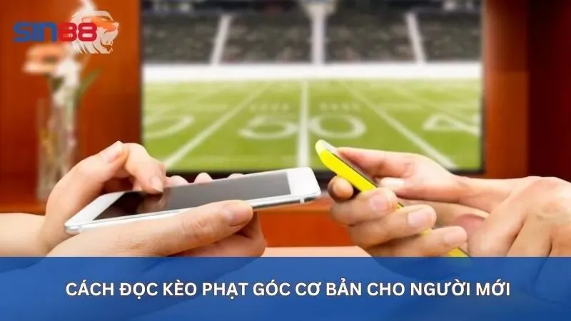Kèo Phạt Góc Là Gì? Các Loại Kèo Phạt Góc Phổ Biến Nhất 3 Cách đọc kèo phạt góc cơ bản cho người mới